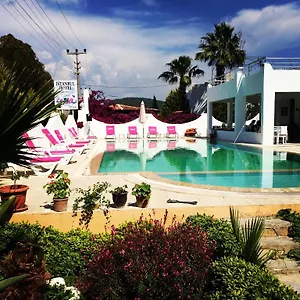  Otel Cohiba
